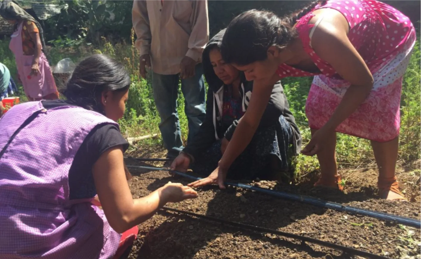 Taller formativo en comunidad de Oaxaca