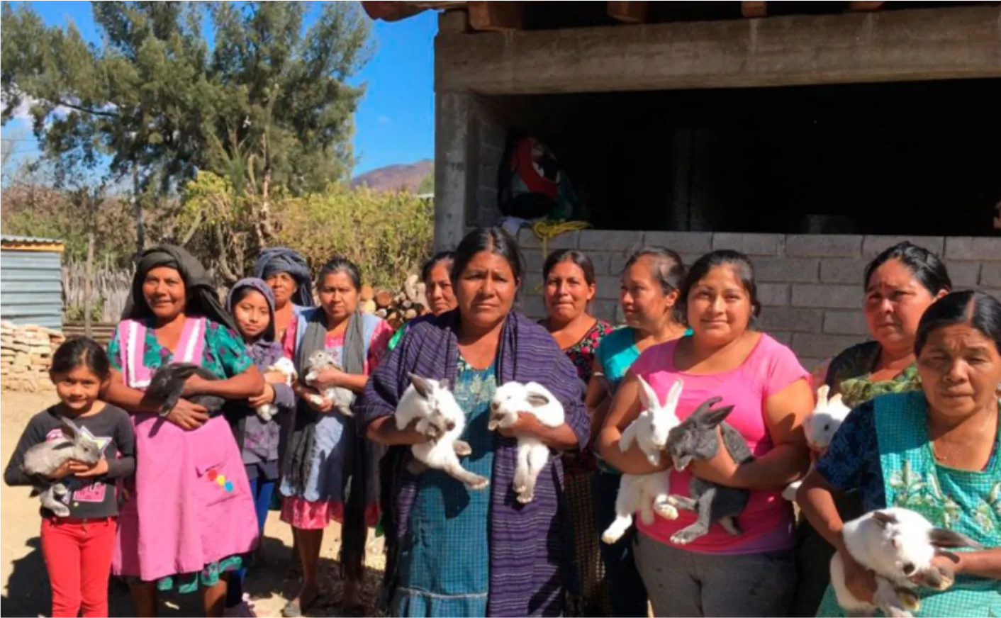 Personas de la comunidad participando en actividades
